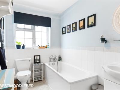 Picture 28